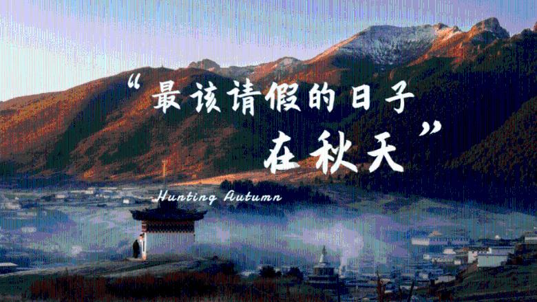 创作猫