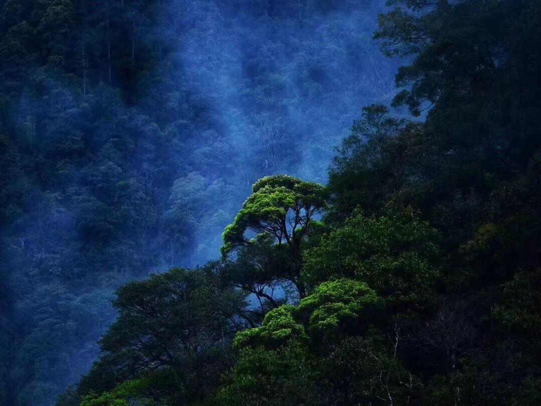 悟空除魔