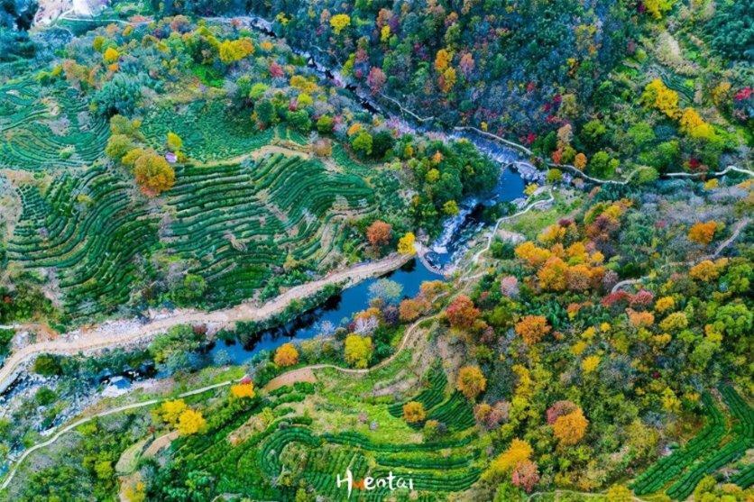 中国石油浙江销售衢州分公司：雪天里的加油站大姐很暖心