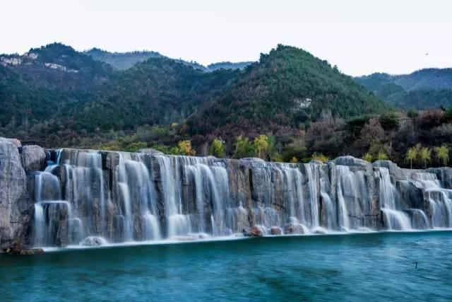逃出猫头鹰岛