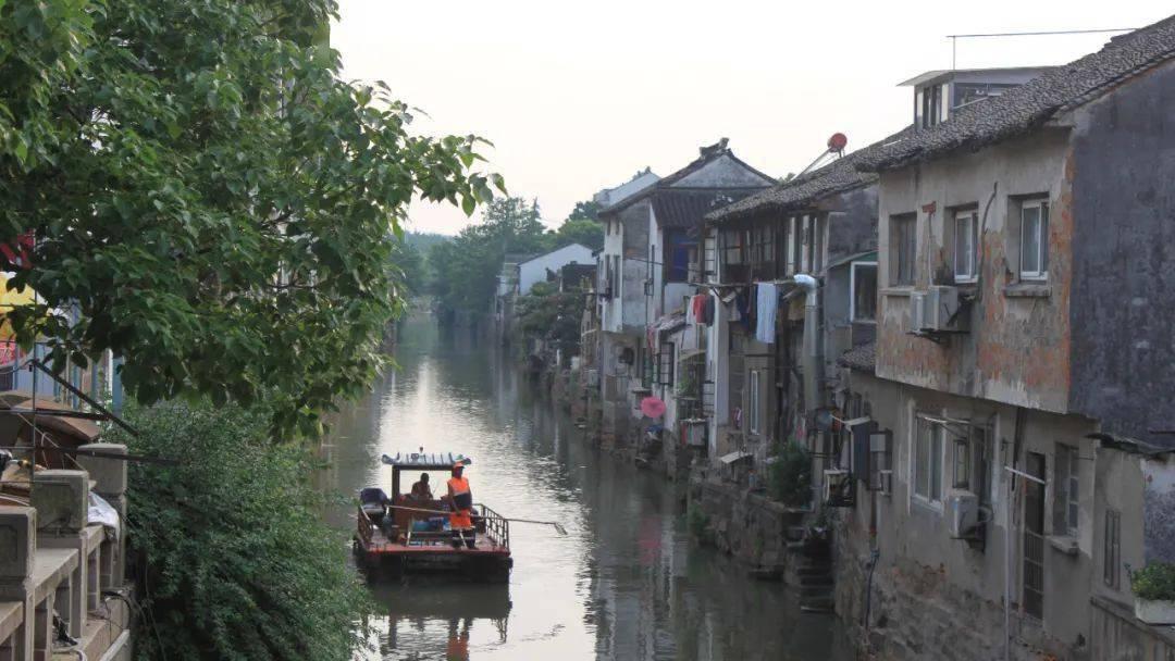 五彩鹦鹉救援