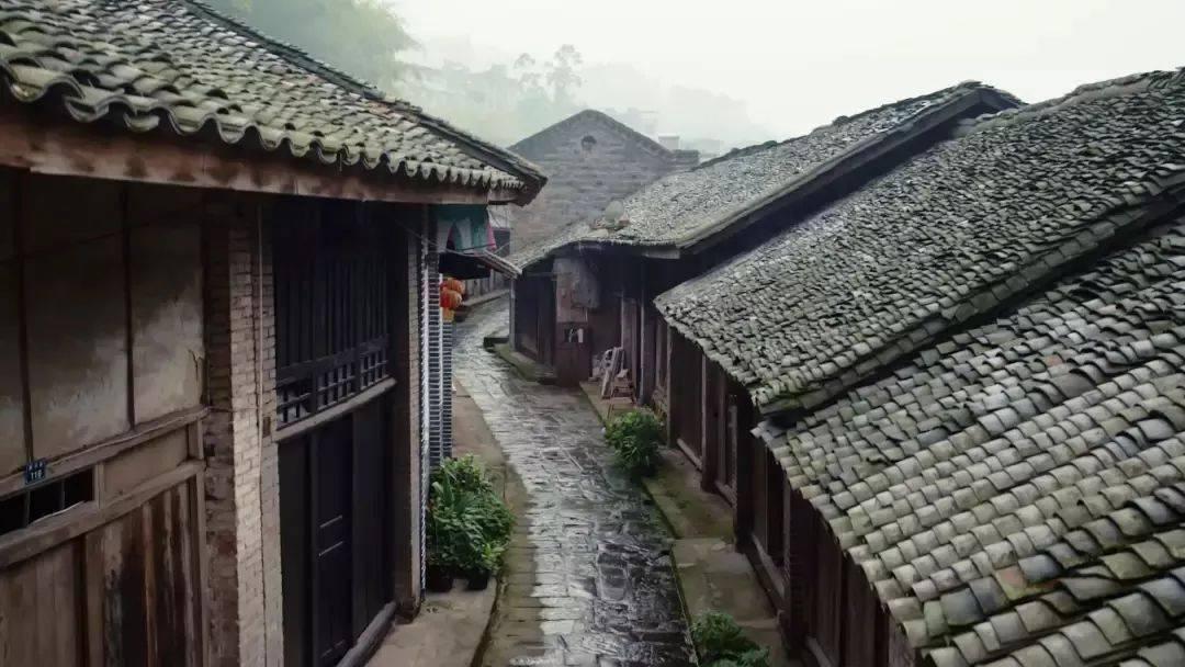 恐怖僵尸之夜